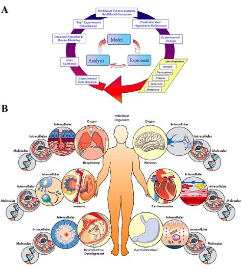sistims|systems biology.